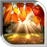 Autumn Live Wallpaper biểu tượng