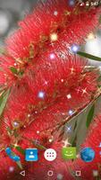 Bottlebrush Live Wallpaper स्क्रीनशॉट 3