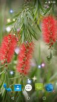 Bottlebrush Live Wallpaper स्क्रीनशॉट 2