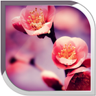 Blossom Live Wallpaper simgesi