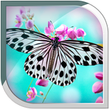 Butterfly Live Wallpaper icône
