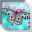 ”Butterfly Live Wallpaper