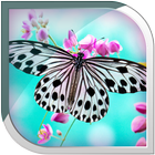 Butterfly Live Wallpaper biểu tượng