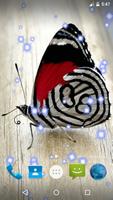 Butterfly Live Wallpaper Affiche