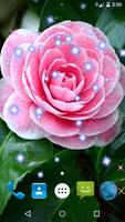 Camellias Live Wallpaper ภาพหน้าจอ 1