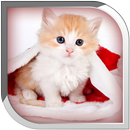 Cute Cat Live Wallpaper APK