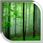 Forest Live Wallpaper ikon