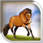 Horses Live Wallpaper ikon