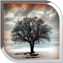 APK Lonely Tree Live Wallpaper