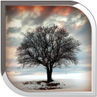 Lonely Tree Live Wallpaper أيقونة