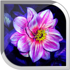 Magic Flowers Live Wallpaper ikona