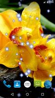 Orchid Live Wallpaper ảnh chụp màn hình 1