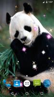 Panda Live Wallpaper تصوير الشاشة 2