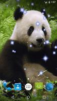 Panda Live Wallpaper تصوير الشاشة 1