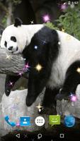 Panda Live Wallpaper تصوير الشاشة 3