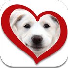 Love Dogs icon