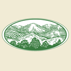 Allegheny Insurance Services icono