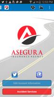 Asegura Insurance Cartaz