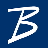 The Blystone Company icône