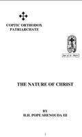 The Nature of Christ スクリーンショット 2