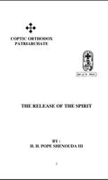The Release of the Spirit 截图 2