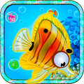 Fish Match Quest Blitz Kids
