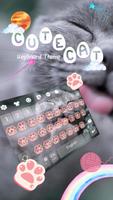 Cute Cat Keyboard Theme Affiche