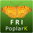 Insect Pests of Poplar icon