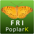 Insect Pests of Poplar