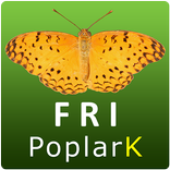 Insect Pests of Poplar