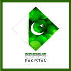 Pakistan Flag Photo Frames 201 icon