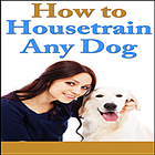 Dog House Training icon