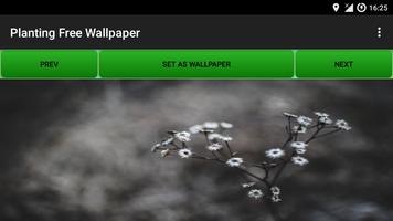 Planting Free wallpaper screenshot 2