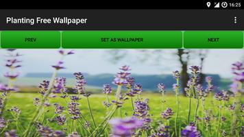 Planting Free wallpaper screenshot 3
