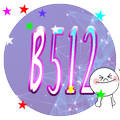 B512 New Line Camera