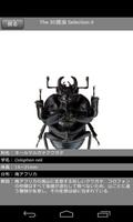 The 3D昆虫 セレクション II تصوير الشاشة 3