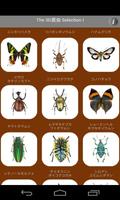 The 3D昆虫 セレクション I স্ক্রিনশট 1