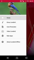 Kicau Lovebird Ngekek Panjang Offline Cartaz