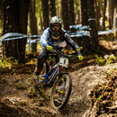 Downhill mountain biking APK