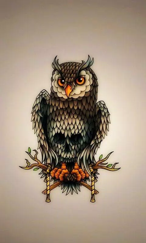 Cute Owl Wallpaper APK for Android Download