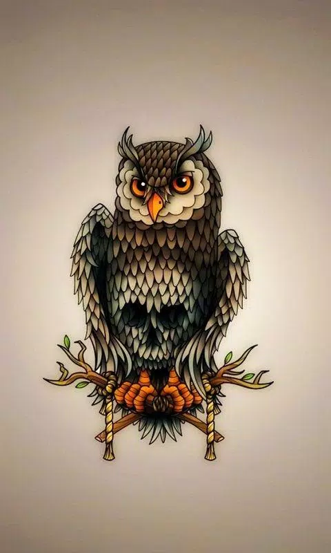 Cute Owl Wallpaper APK for Android Download Cute Owl Wallpaper APK for Android Download