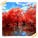 Autumn Beautiful HD Wallpaper APK