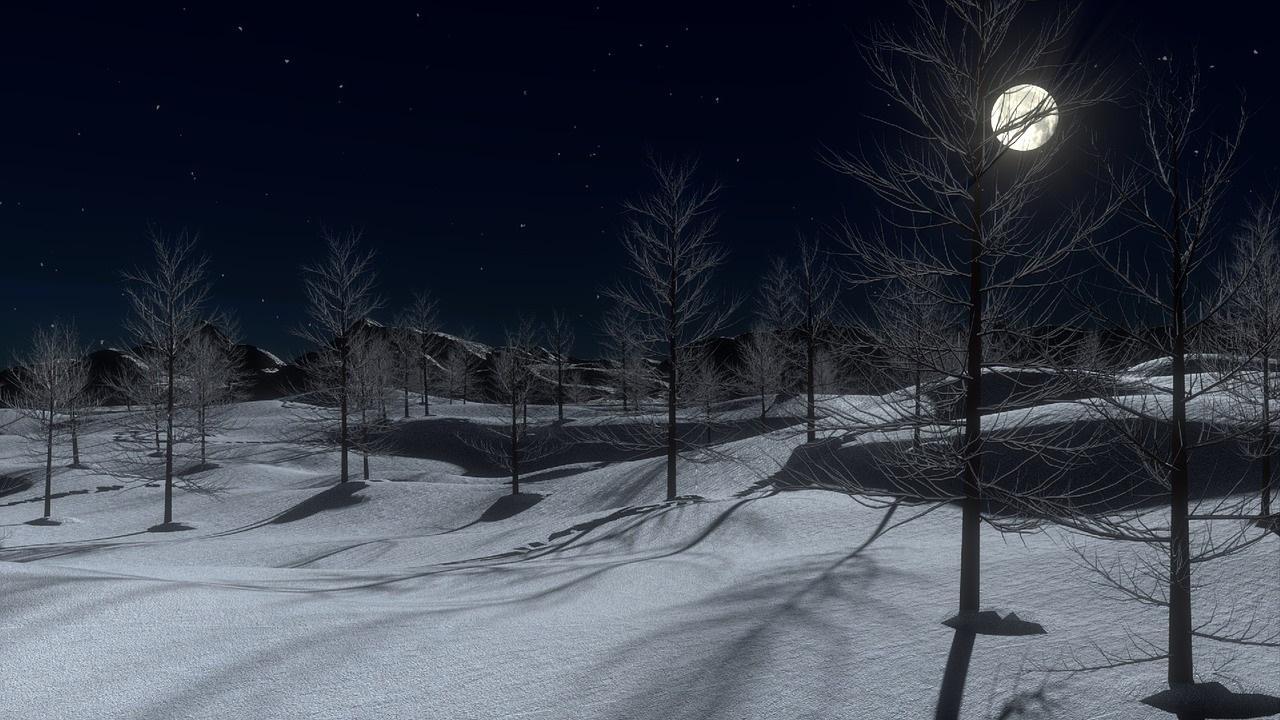 Image result for winter night