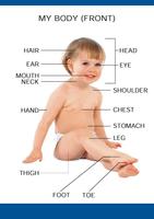 Pre School Series My Body اسکرین شاٹ 2