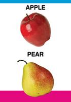 PreSchool Book - Fruits پوسٹر