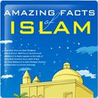 Amazing Islamic Stories 1 иконка