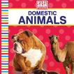 Domestic Animals Pre-School