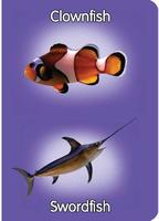 Fish & Sea Creatures Preschool Ekran Görüntüsü 2