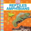 Reptiles&Amphibians pre-school