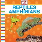 Reptiles&Amphibians pre-school ícone